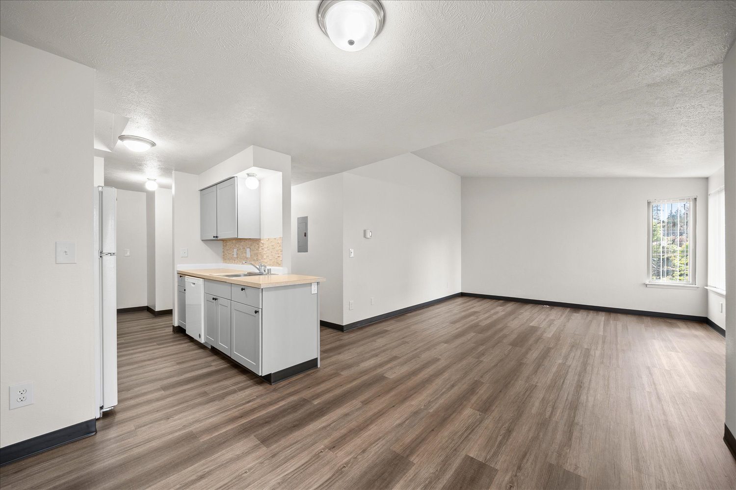 Living room and kitchen from dining area
